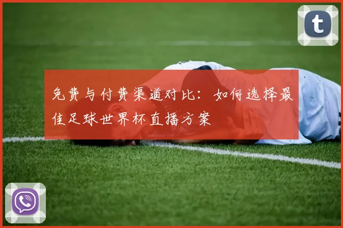 免费与付费渠道对比：如何选择最佳足球世界杯直播方案