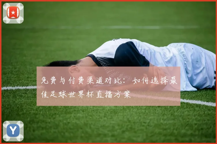 免费与付费渠道对比：如何选择最佳足球世界杯直播方案