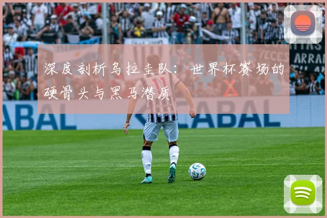 深度剖析乌拉圭队：世界杯赛场的硬骨头与黑马潜质