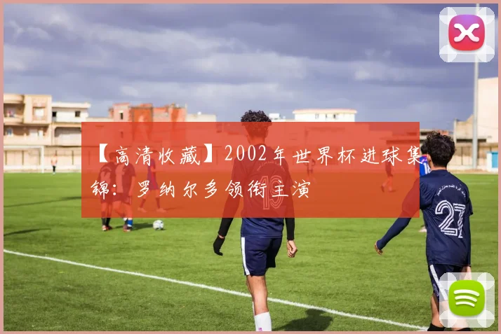 【高清收藏】2002年世界杯进球集锦：罗纳尔多领衔主演