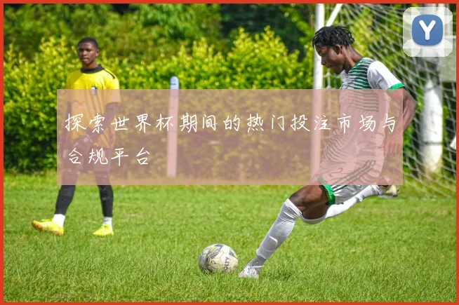 探索世界杯期间的热门投注市场与合规平台