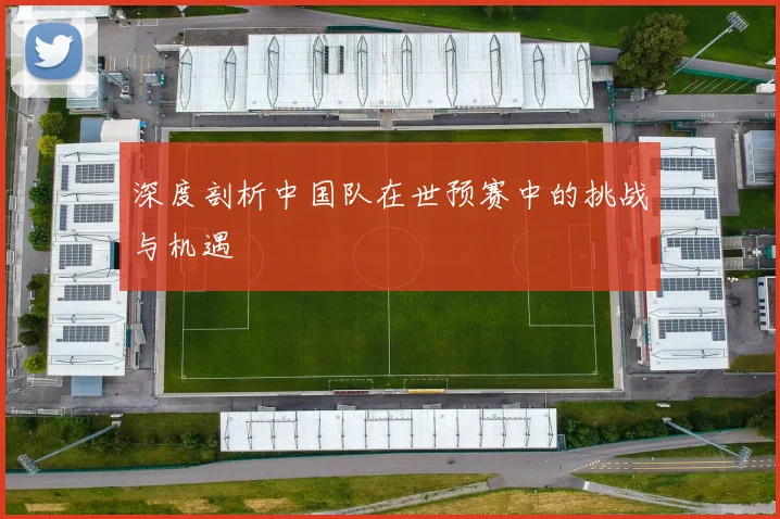 深度剖析中国队在世预赛中的挑战与机遇