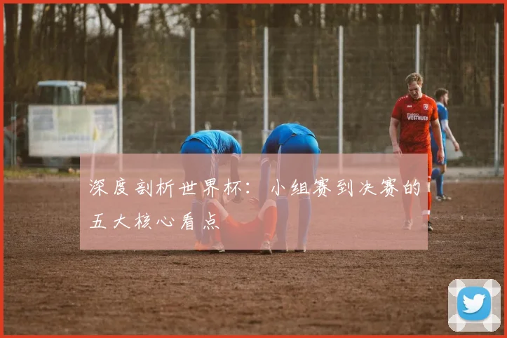深度剖析世界杯：小组赛到决赛的五大核心看点