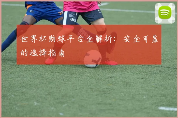 世界杯购球平台全解析：安全可靠的选择指南