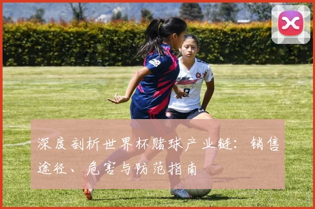 深度剖析世界杯赌球产业链:销售途径、危害与防范指南